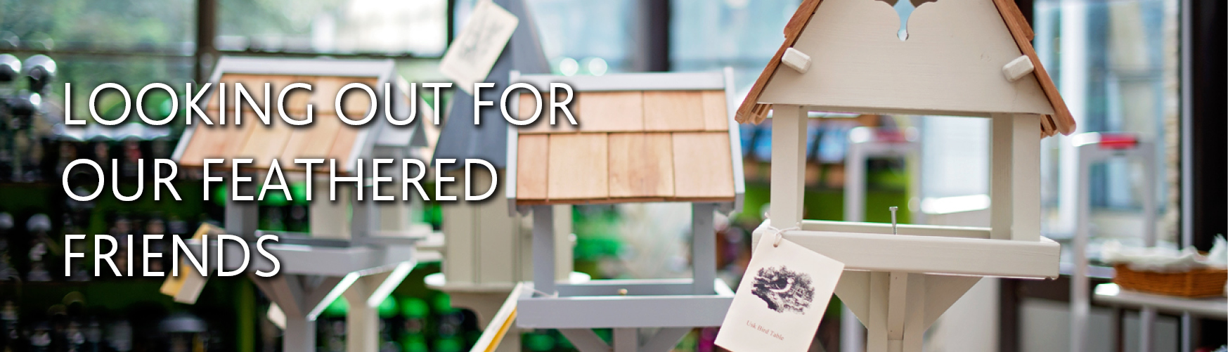 Cannon Hall Garden Centre & Thyme Bistro Beautiful plants, everything