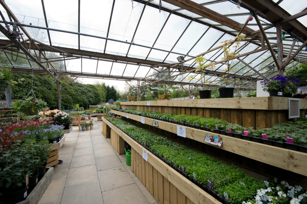 The Garden Centre Cannon Hall Garden Centre & Thyme Bistro